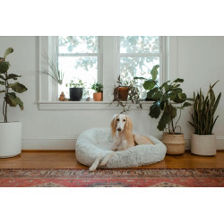 Как животните подобряват психичното ни здраве и защо да си вземем домашен любимец