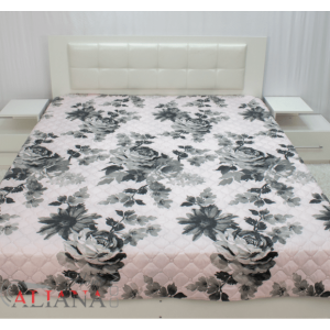 Шалте Арета