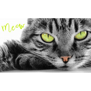 Памучна кърпа за ръце Cat Eyes Памучна кърпа за ръце Cat Eyes