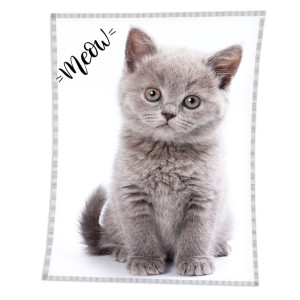 Детско одеяло Cat