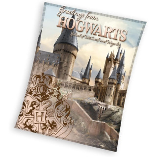 Пухкаво одеяло Harry Potter Hogwarts - 130х160 см.