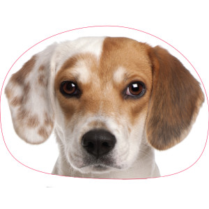 Интериорна възглавница Beagle Интериорна възглавница Beagle