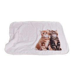 Нежно одеяло за бебе - сладки котенца