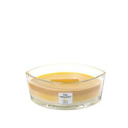 Лукс ароматна свещ Wood Wick Еllipse Fruits of Summer
