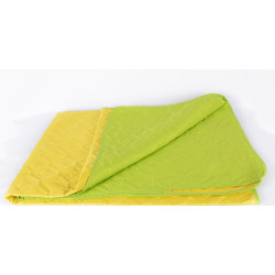 Прекрасно Шалте с две лица ЗЕЛЕНО и ЖЪЛТО